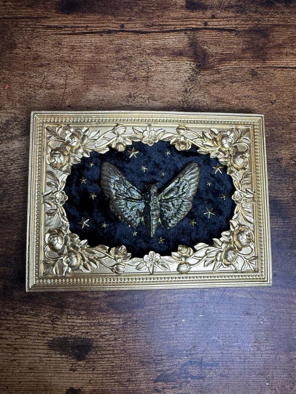 Handmade Deathmoth gold framed on black velvet with gold stars